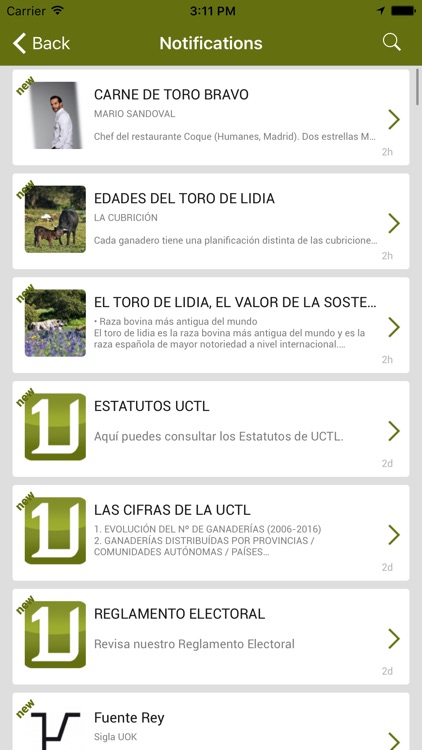 TOROS LIDIA