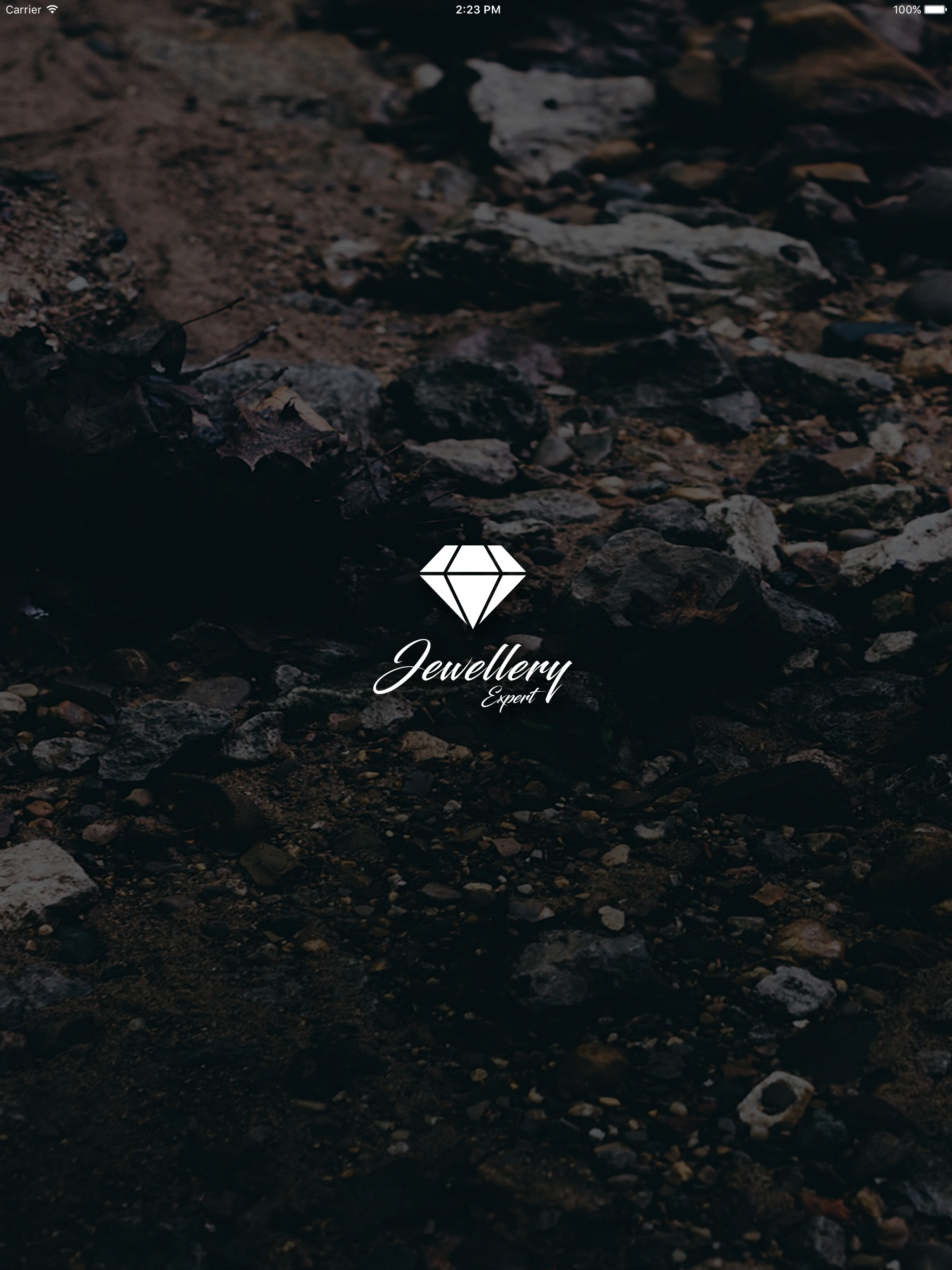 Jewelry Expert