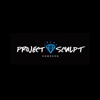 Project Sculpt icon