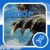 Unofficial Guide for Monster Hunter 4 Ultimate