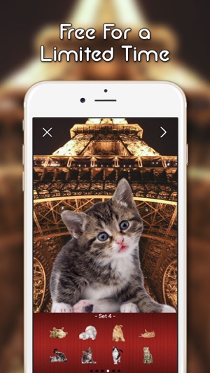 KittyGram - Cutest Cats Photo Decorator Free(圖3)-速報App