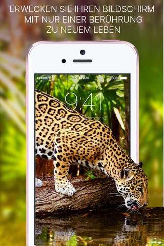 Live Wallpapers - Dynamic Animated Photo HD Themes screenshot 2