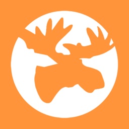 ananamoose
