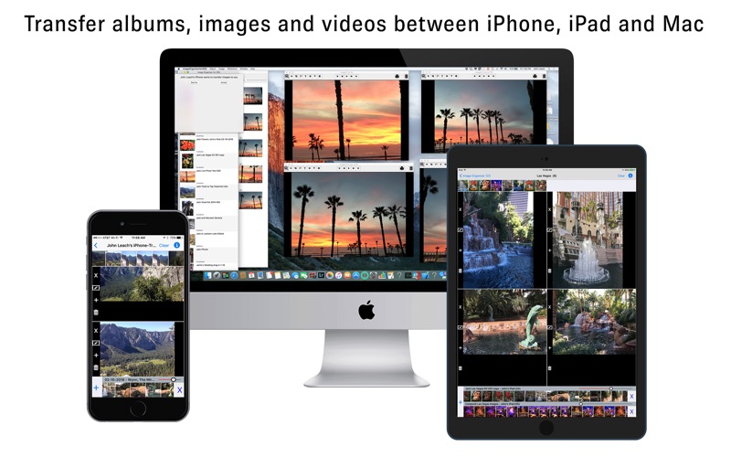 Screenshot #1 pour Image Organizer 123 – Photo Manager & Album Share