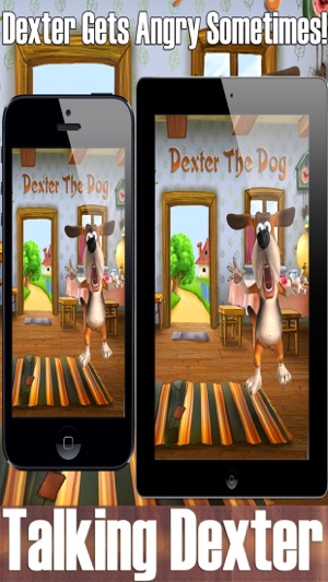 Talking Dexter The Dog(圖2)-速報App