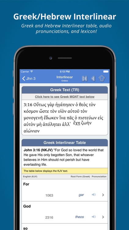 Blue Letter Bible screenshot-3