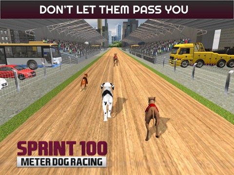 100 メートルの犬のレースのスプリント: 犬のレース トラックでのおすすめ画像4