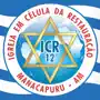 ICR12