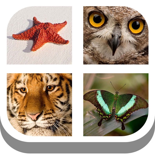 kids pics quiz : animal alphabet learning iOS App