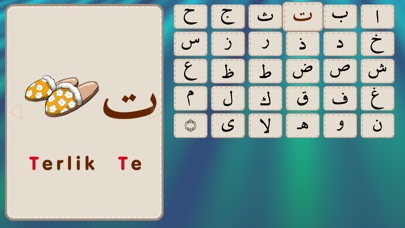Alim Islamic Academy Screenshot