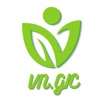 VNGIC