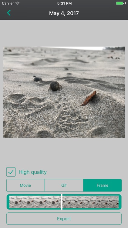 Live Picture Converter