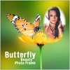 Butterfly Beauty Photo Frame 3D Wallpaper Art Edit