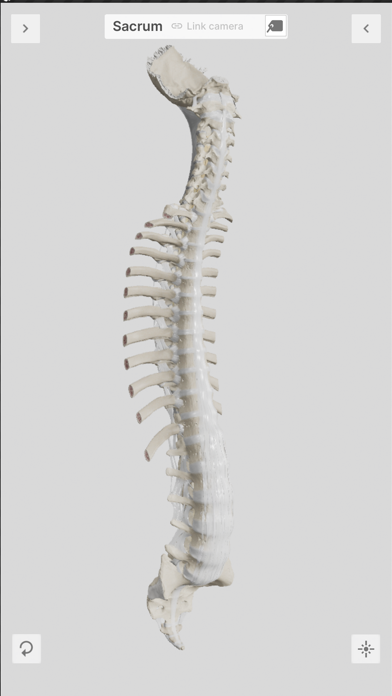 Biomechanics of the Spine Lite Screenshot