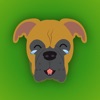 Boxer Emoji icon