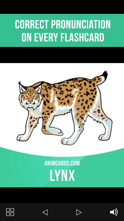 Animals Cards in English