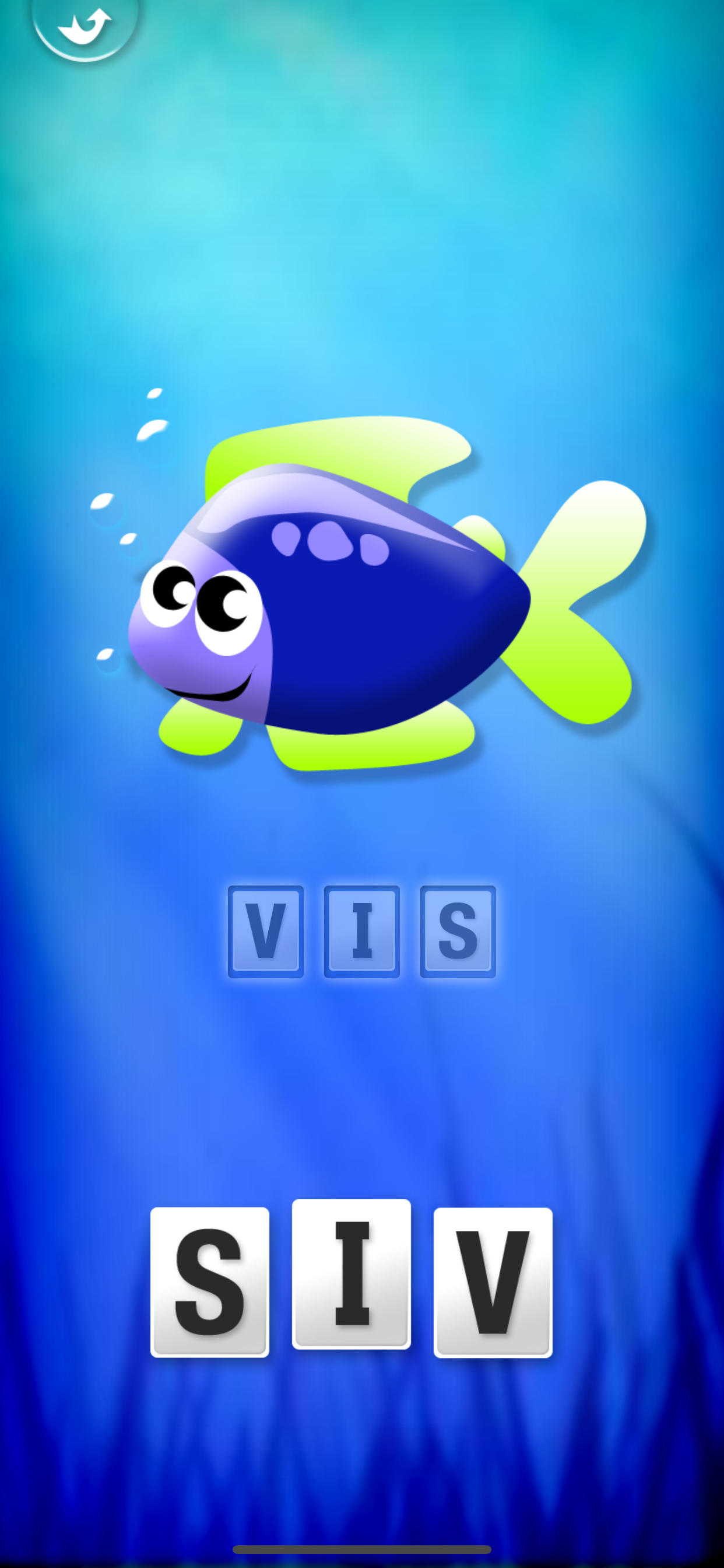 My first Dutch words