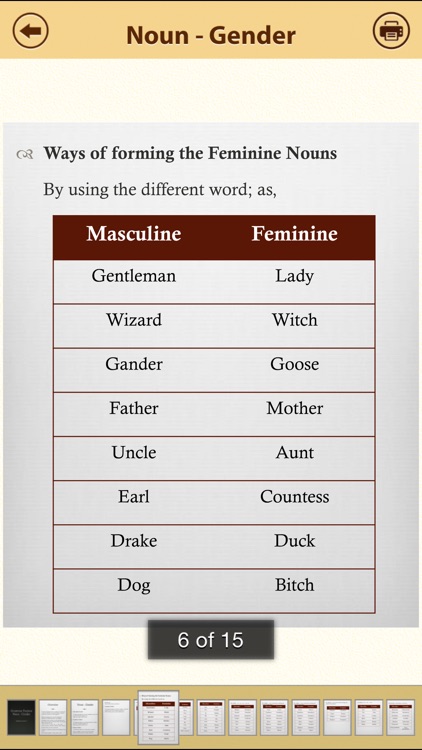 Grammar Express: Nouns