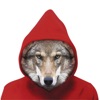 Knock Knock Wines AR icon