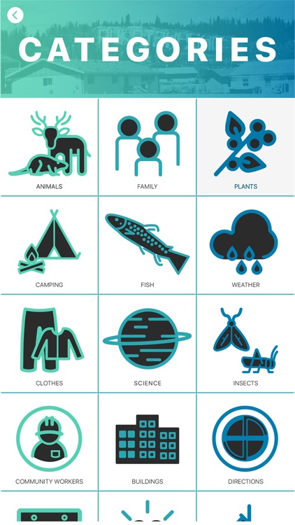 MCCN Cree Dictionary screenshot-3