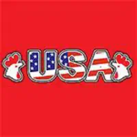 USA Chicken Bridgend-Online
