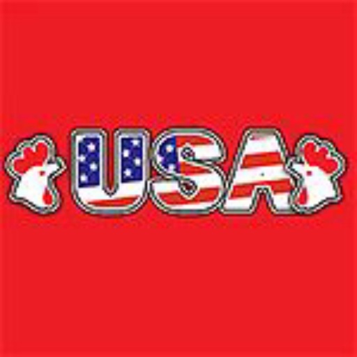 USA Chicken Bridgend-Online icon