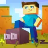 Plug for Minecraft contact information