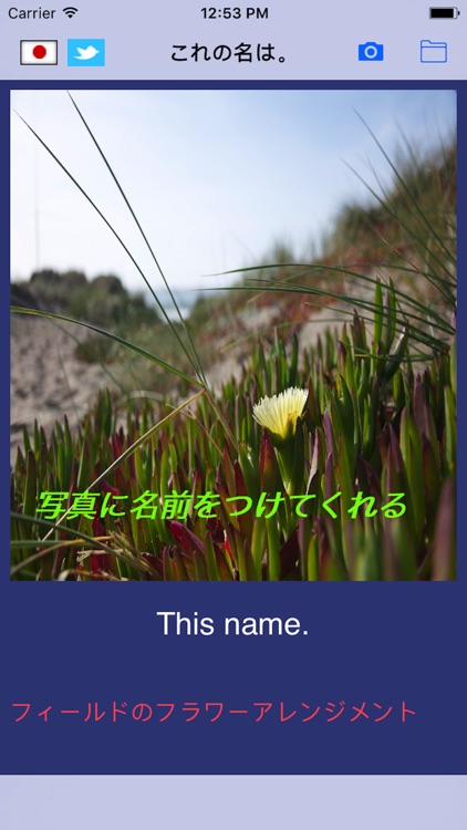 この写真の名前は?　〜画像解析〜