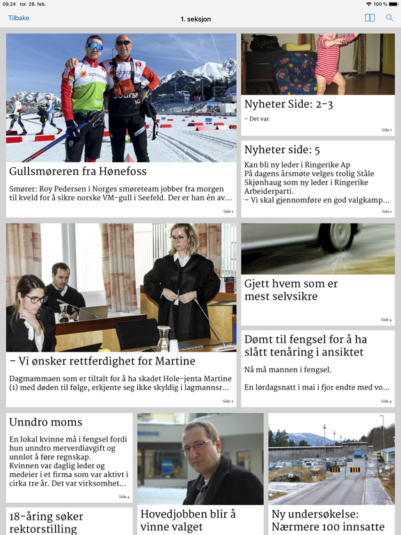 Screenshot #6 pour Ringerikes Blad eAvis