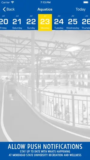 MSU REC screenshot 3