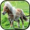 Pony Jigsaw Puzzle - My Princess Pony Kids Game