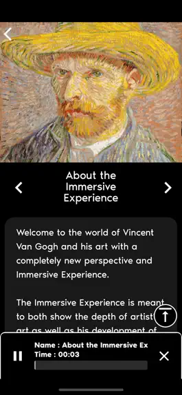 Game screenshot Van Gogh Immersive - USA hack