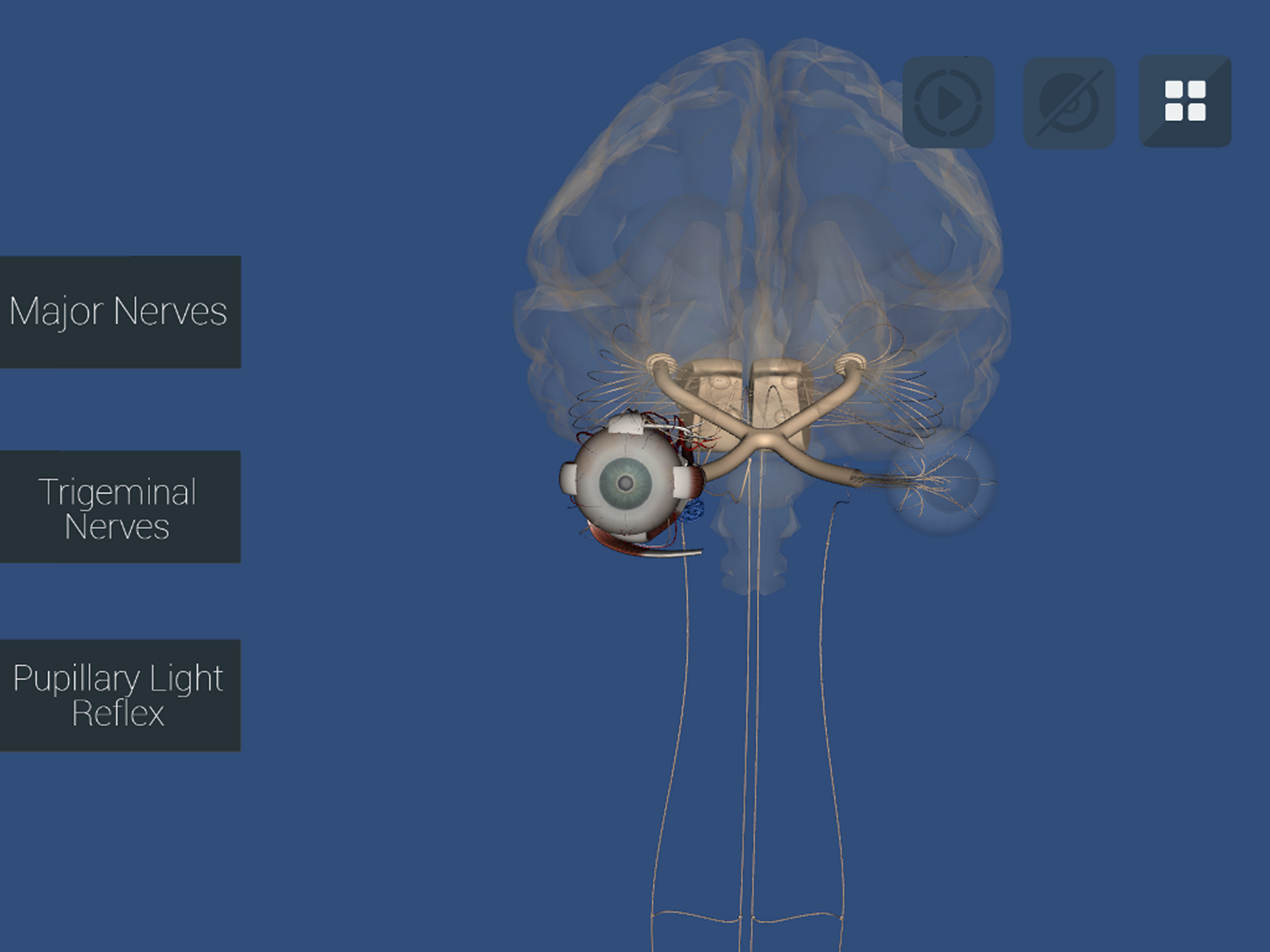 Anu Reality EyeSim Mobile 2 screenshot 8