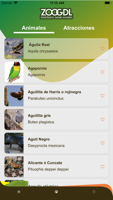 Zoológico Guadalajara Screenshot