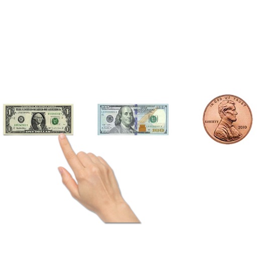 Discriminating Money (US) icon