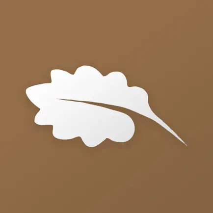 San Roque Club Читы