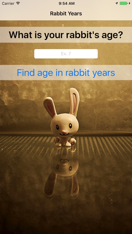 Rabbit Years - Simple Converter For Rabbit Years