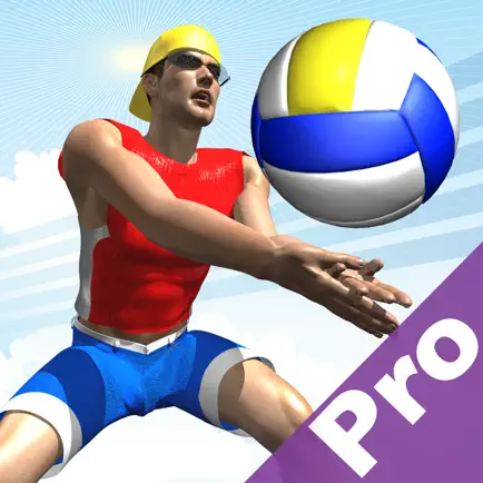 Beach Volley Pro Читы