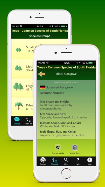 Southern Florida Trees