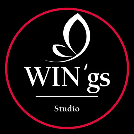 WIN'gs studio Читы