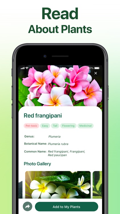 NatureID: Plant Identification screenshot-4