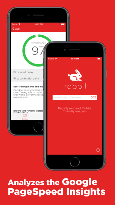 Rabbit Web Performance Screenshot