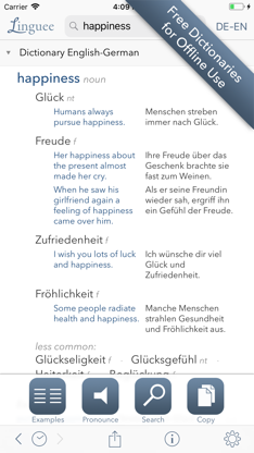 Dictionary Linguee screenshot 2