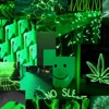 Icon Green Aesthetic Wallpaper Cute