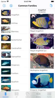 red sea fish id iphone screenshot 2