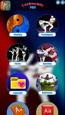 Game screenshot Taekwondo Pro mod apk