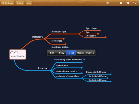 MindMapping Inspiration : Diagram & Workflow screenshot 4