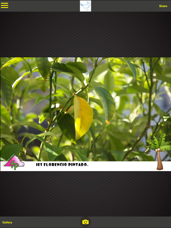 Screenshot #5 pour YourSocialBox