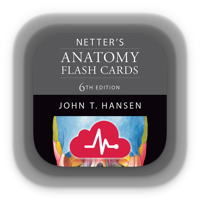 Netters Anatomy Flash Cards