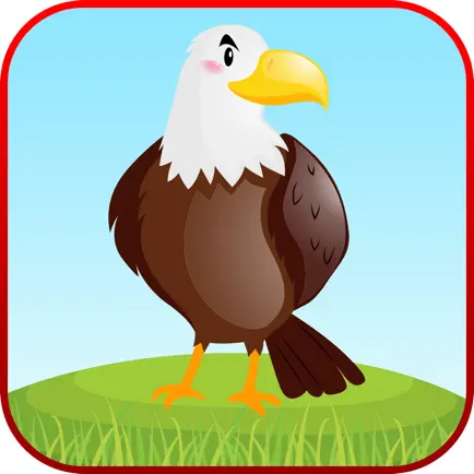 Learn Bird Sounds Coloring App Читы